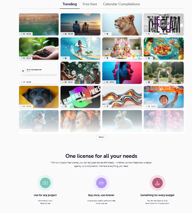 Camera lens in focus