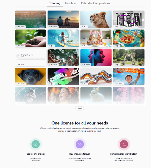 Camera lens in focus