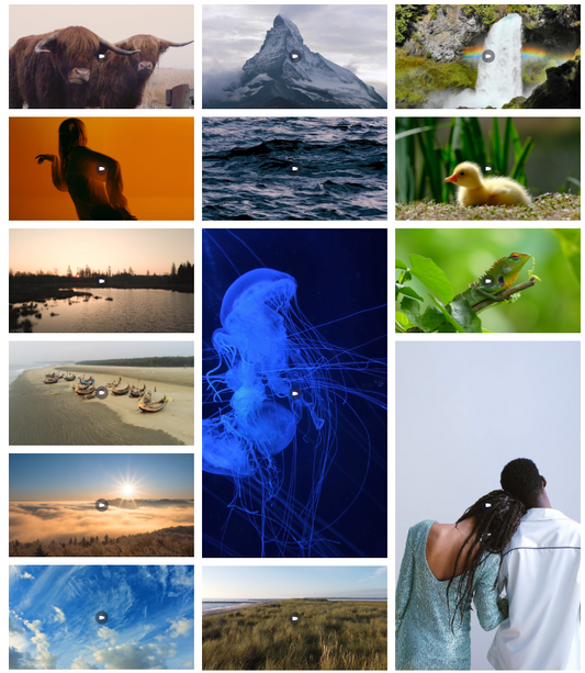 Green screen behind presenter in studio