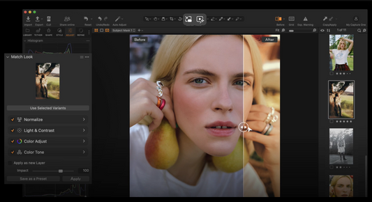 Mood board with fabric swatches and photos