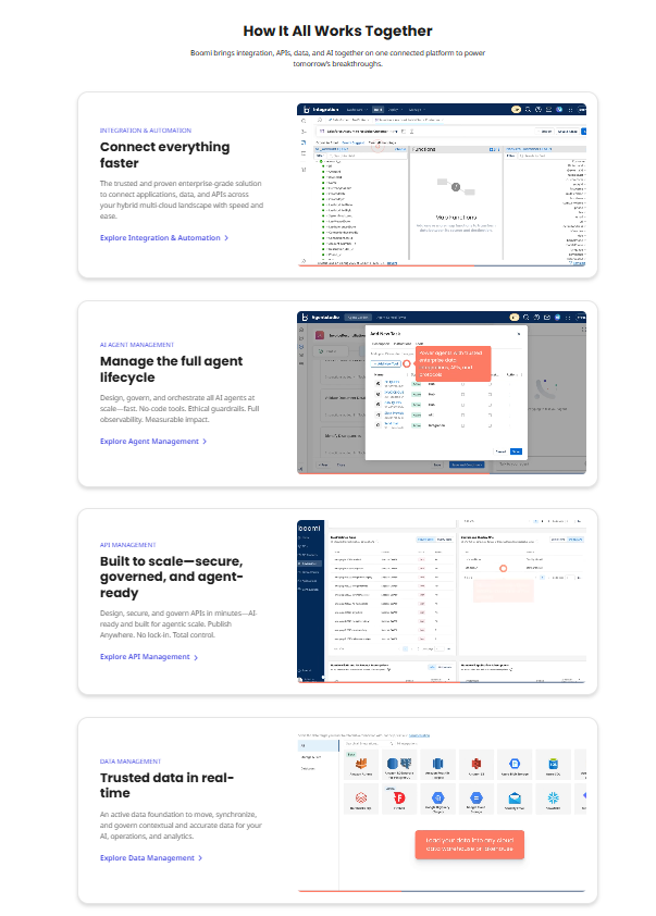 Boomi Funktionen – Integration Canvas, AtomSphere Runtime, API Management und Master Data Management aus einer einzigen cloudnativen Plattform für hybride IT-Umgebungen.
