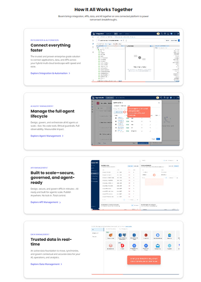 Boomi Funktionen – Integration Canvas, AtomSphere Runtime, API Management und Master Data Management aus einer einzigen cloudnativen Plattform für hybride IT-Umgebungen.